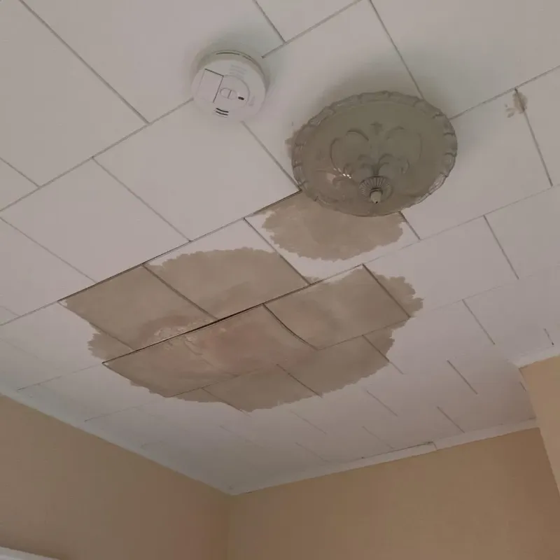 Ceiling Water Damage Repair in Leland, NC